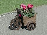 Review Westwd  / Westwd D30118 Tricycle Planter Sml Burntwood