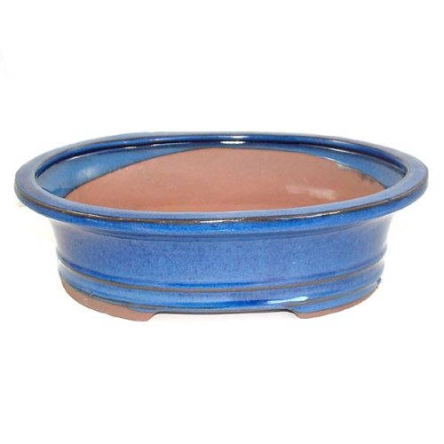 26cm Blue Glazed Oval Bonsai Pot