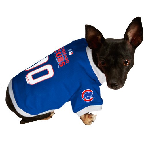 Chicago Cubs Royal Blue Mesh Pet Jersey (X-Large)