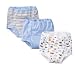 Gerber Three Pack Training Pants Blue, Striped, & Cars 2T (28-32lbs.)