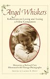 Angel Whiskers: Reflections on Loving and Losing a Feline Companion
