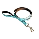 Pet Supplies : 5' Dog Leash- Blue with Brown Dots