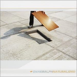 Naturalized by Dave Ralph (Audio CD - 2001)