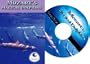 Mozart's Magical Dolphins