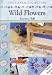 Wild Flowers (Stencil Collection)