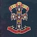 Appetite for Destruction