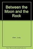 Between the moon and the rock