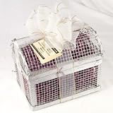 Ultimate's Fudge Medley in a Silver Treasure Chest - 23 Ounces
