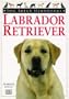 Labrador Retriever Dog Breed Handbook (Dog Breed Handbooks)