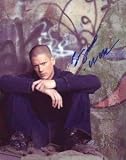 Gorgeous Wentworth Miller Prison Break Signed 8x10 New