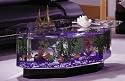 Midwest Tropical AquaTable Aquarium Octagon