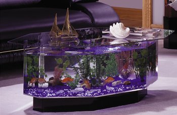 Stretched Octagon Coffee Table Aquarium- 28 Gallon