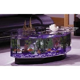 Stretched Octagon Coffee Table Aquarium- 28 Gallon