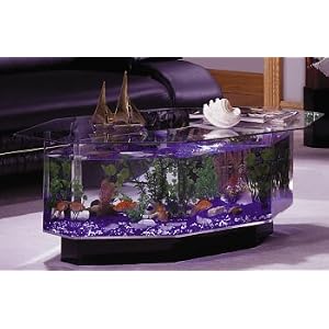 Midwest Tropical AquaTable Aquarium Octagon