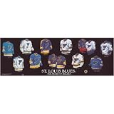 Frameworth St. Louis Blues 5x15 Jersey Evolution Plaque