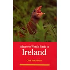 Where to Watch Birds in Ireland