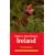 Where to Watch Birds in Ireland