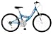 Pacific Evolution Girls' Mountain Bike (24-Inch Wheels)