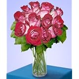 One Dozen Fire and Ice Roses