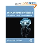 The Condensed Protocols from Molecular Cloning: A Laboratory Manual by Joseph Sambrook and David W. Russell