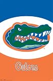UNIVERSITY OF FLORIDA GATORS 22.5x34 WALL POSTER 3745