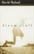 Dream Stuff: Stories