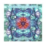 Consciousness III