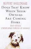 Dogs that know when their owners are coming home and other unexplained powers of animals