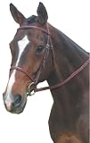 Kincade Square Raised Bridle