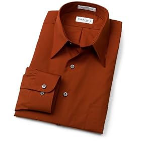 Van Heusen Men's Wrinkle Free Poplin Solid Long Sleeve Shirt