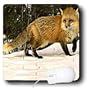 Wild animals - Red Fox - Mouse Pads