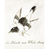 The Black and White Bird (Print On Demand)