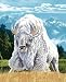 New Signature Collection Queen Size White Buffalo Korean Mink Blanket