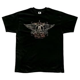 Aerosmith - Faded Wings Soft T-Shirt