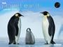 BBC Planet Earth 64x48 2010 (English, German, French and Dutch Edition)