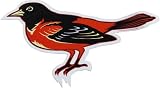 Baltimore Orioles Large Car Magnet
