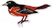 Baltimore Orioles Large Car Magnet