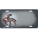 Airbrushed License Plates -End of the Trails License Plate - #132 by Unknown