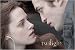 Twilight - Movie Poster (Edward & Bella - Horizontal) (Size: 36" x 24")