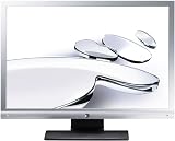 BenQ G2000WA 50,8 cm (20 Zoll) widescreen Monitor silber /
