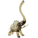 Safari Animal