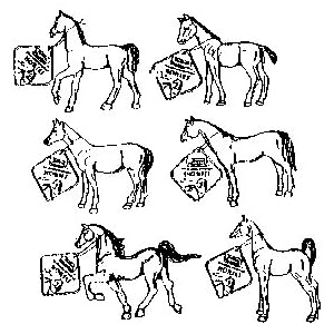 24 each: Thoroughbred Toy Horses (7234C)