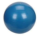 from DrW for RightBuy4U Gym Exercise Fitness Ball 65cm (Anti-Burst) with Dual Action Hand Pump & Travel Sack