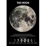 Stages Of The Moon (Astronomy) Educational Poster - 24x36
