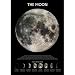 Stages Of The Moon (Astronomy) Educational Poster - 24x36