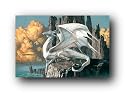 HOBSYLLWIN WHITE DRAGON FANTASY ART 23X35 POSTER 8385