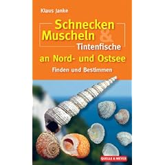 Schnecken, Muscheln & Tintenfische an Nord- und Ostsee: Finden und Bestimmen