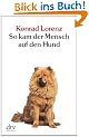 So kam der Mensch auf den Hund