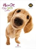 Hunde - Hanadeka 2011