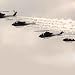 Brigade of Helicopters - 36